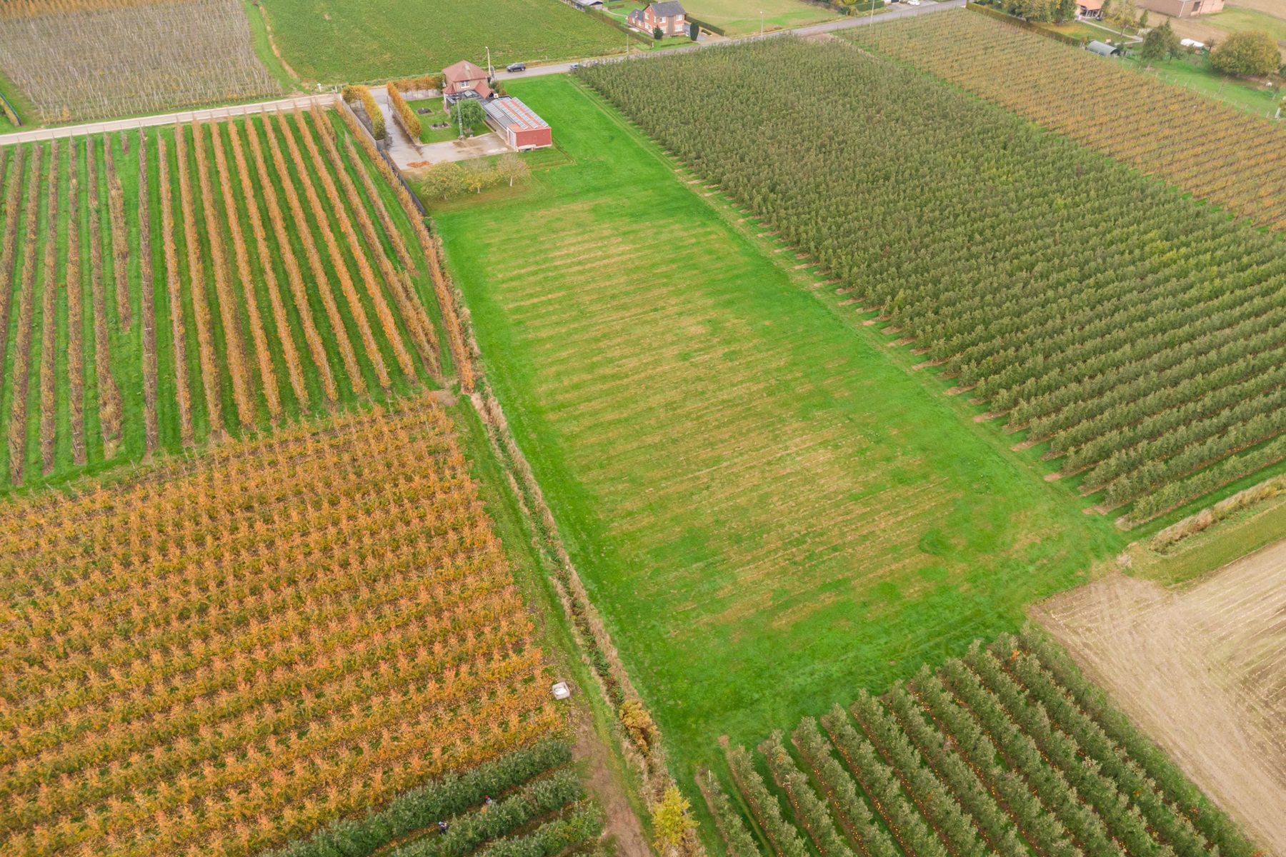 Huis te koop foto 39