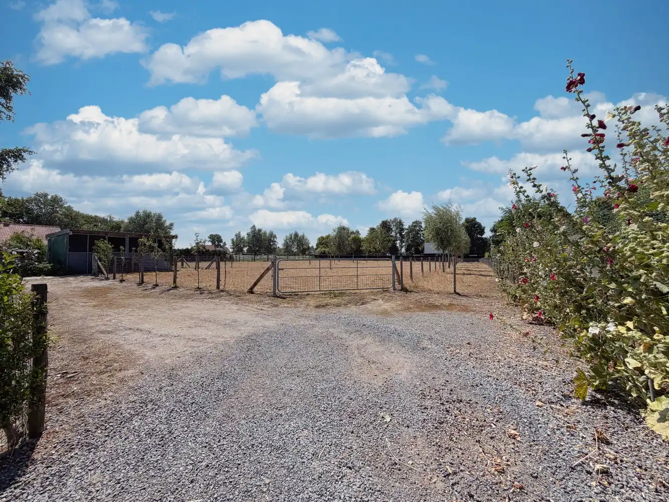 Unieke, landelijke eigendom met weide op 4700m²!!! foto 17