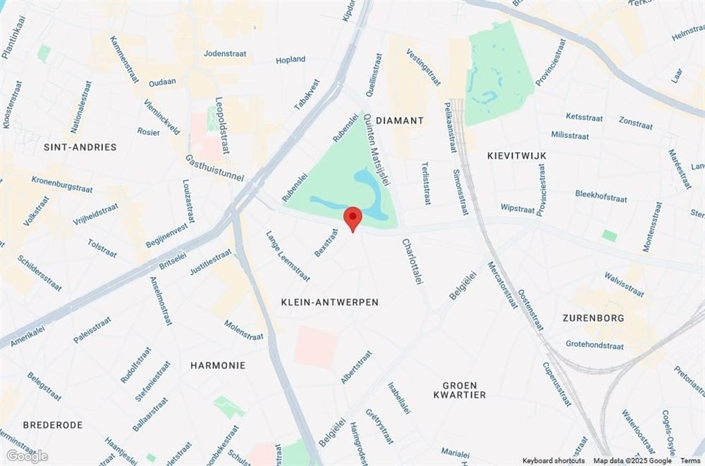 Ruim appartement met zicht op Stadspark foto 27