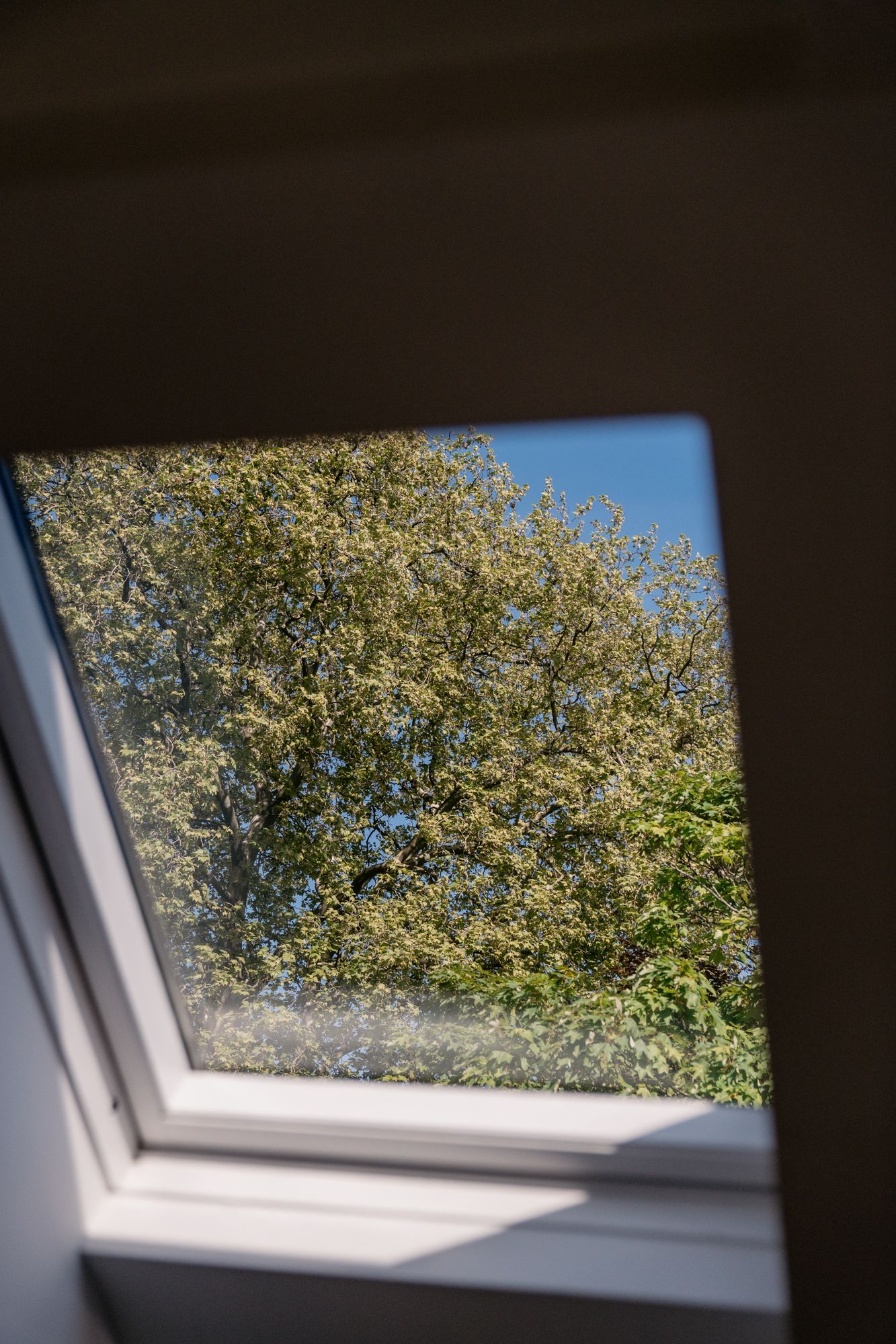 Eigen voordeur en 2 verdiepingen: appartement dat aanvoelt als een woning aan het populaire Professor Claraplein foto 7