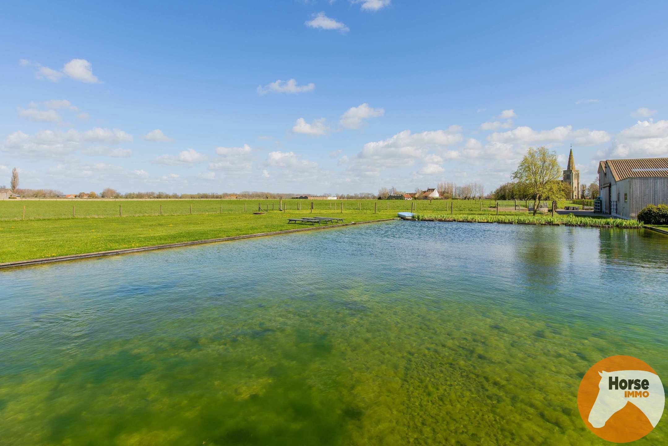 ALVERINGEM - Unieke eigendom op 34.655m² foto 25