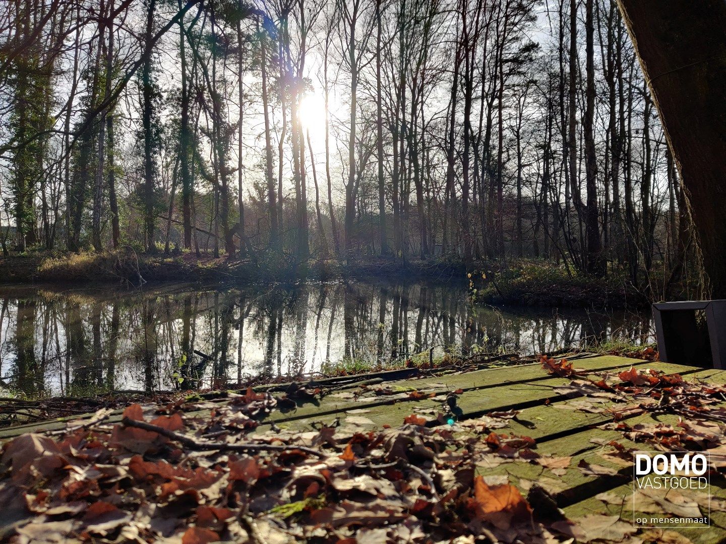 Weiland met aangrenzende vijver en bos. foto 5