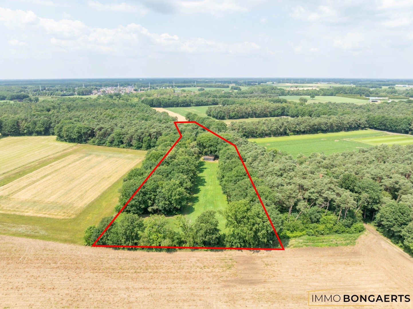 Natuur- en bosgrond met vakantiewoning foto {{pictureIndex}}