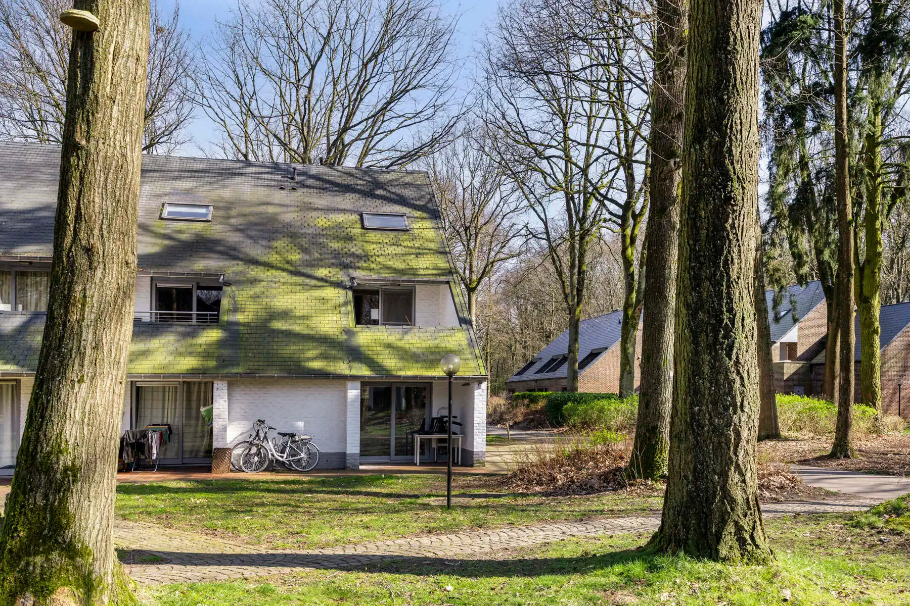Duplex vakantiewoning op Domein Hengelhoef. (GEEN DOMICIEL ) foto 5