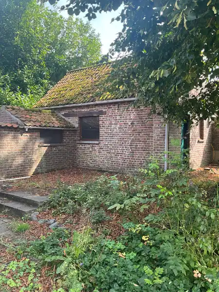 Hoevewoning met bijgebouwen met heel wat potentieel foto 12