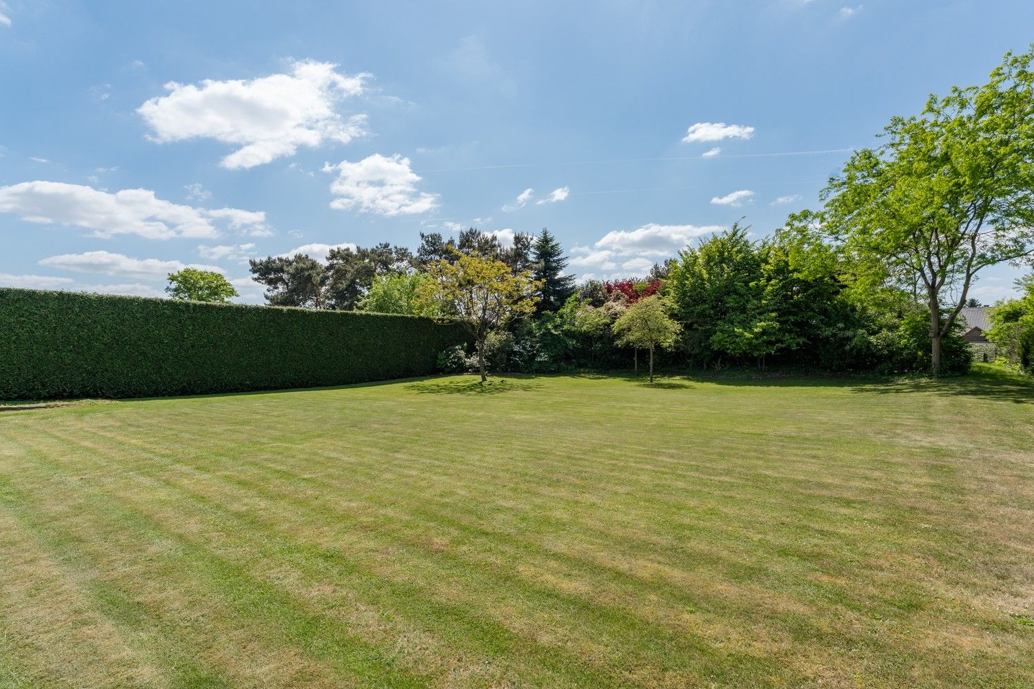 Villa landhuis op een gunstige locatie vlakbij de Nederlandse grens! foto 36