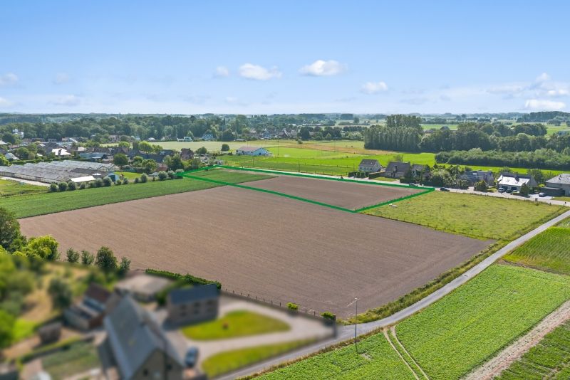 Twee percelen landbouwgrond te koop te Vurste foto 12