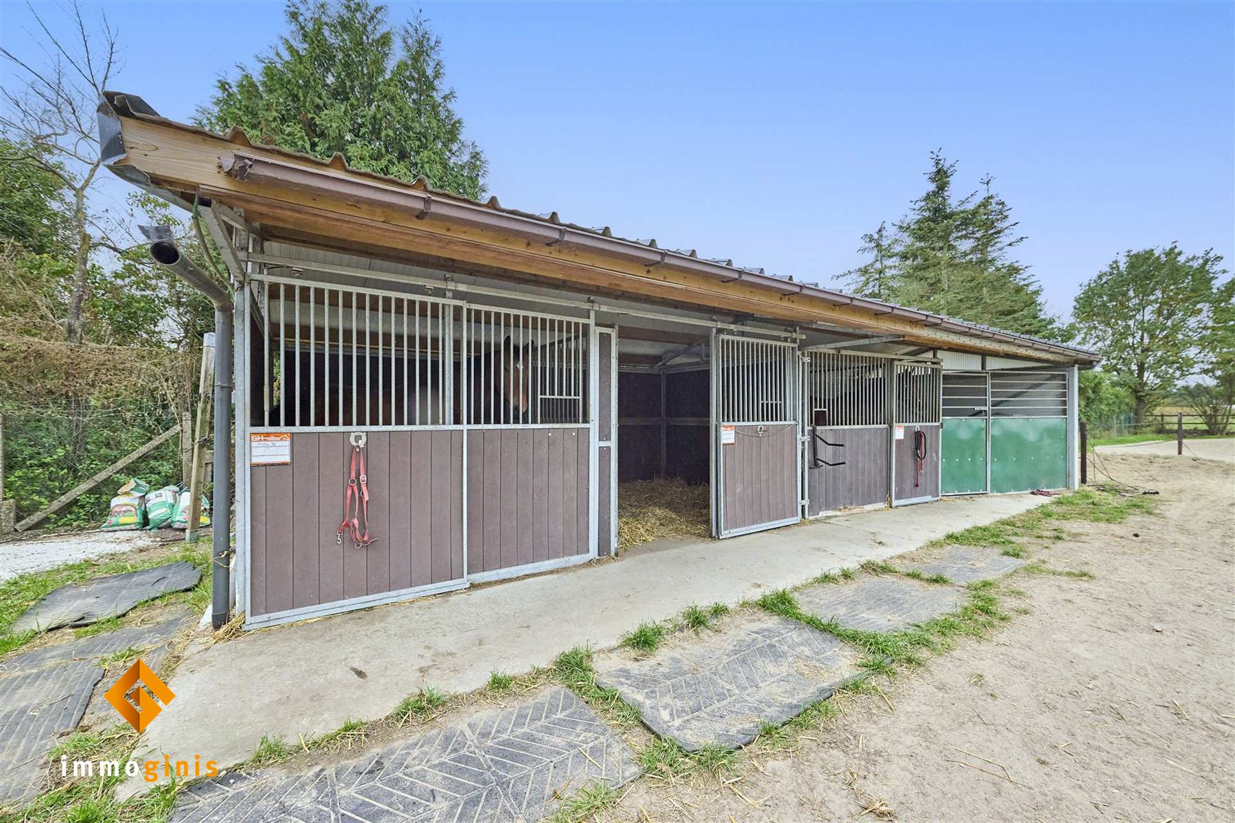 Ruime gerenoveerde woning met paardenfaciliteiten op een perceel van 71a44ca. foto 29