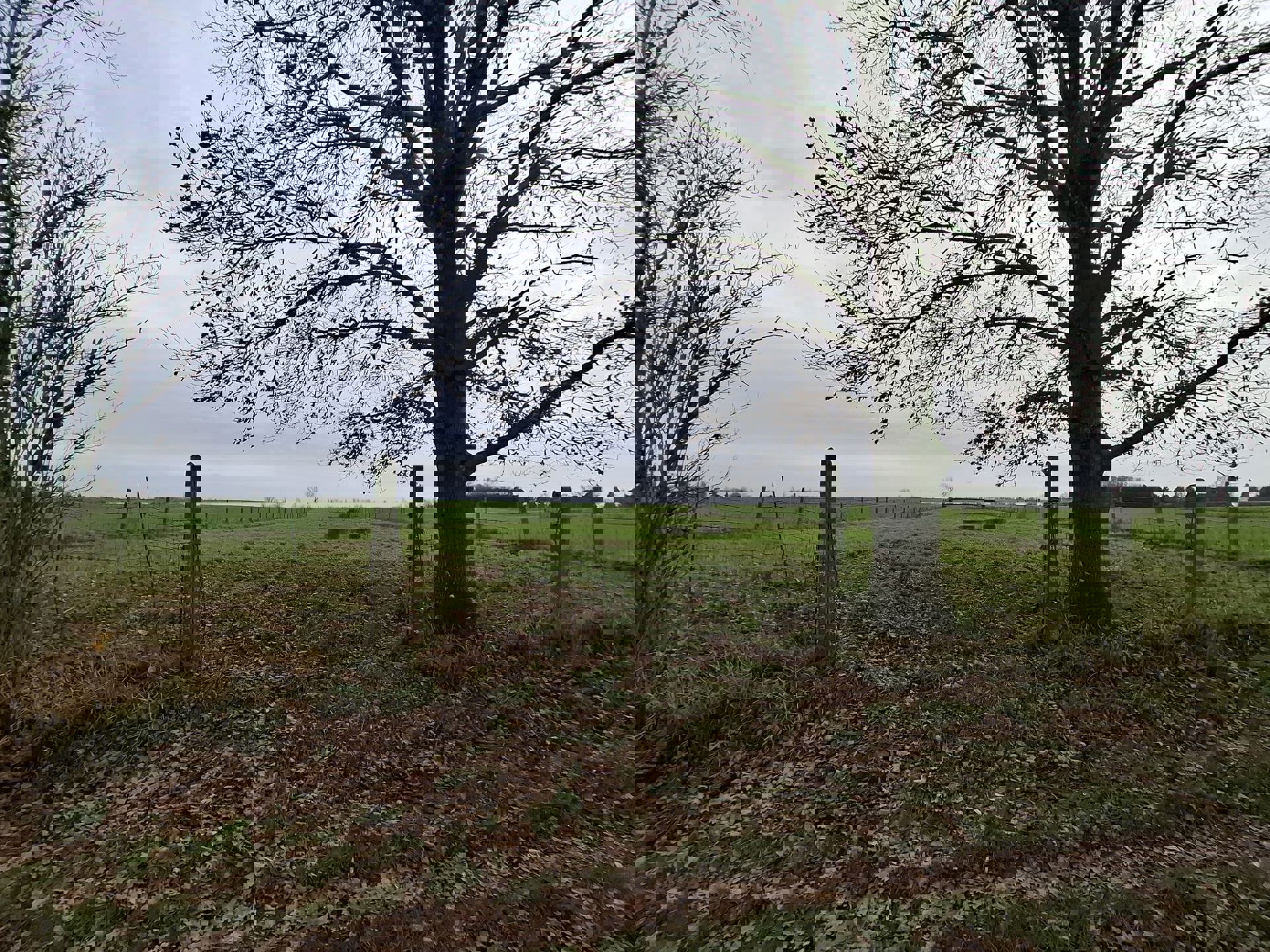 DENDERHOUTEM– Perceel weiland van 29a 50ca foto 5