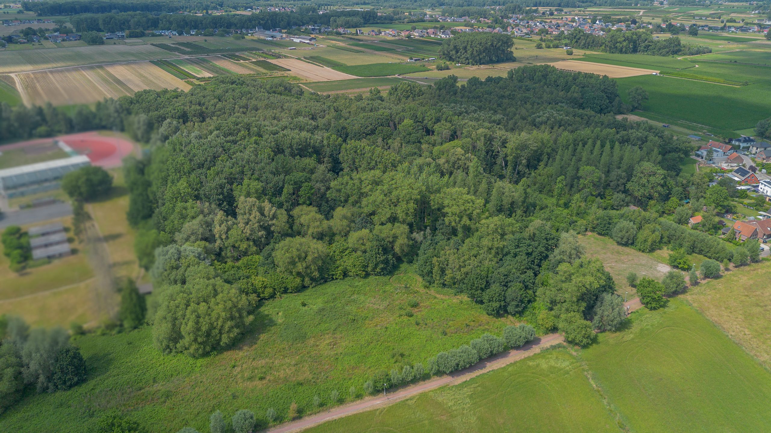OORDEGEM - bos 2ha 21ca foto 5