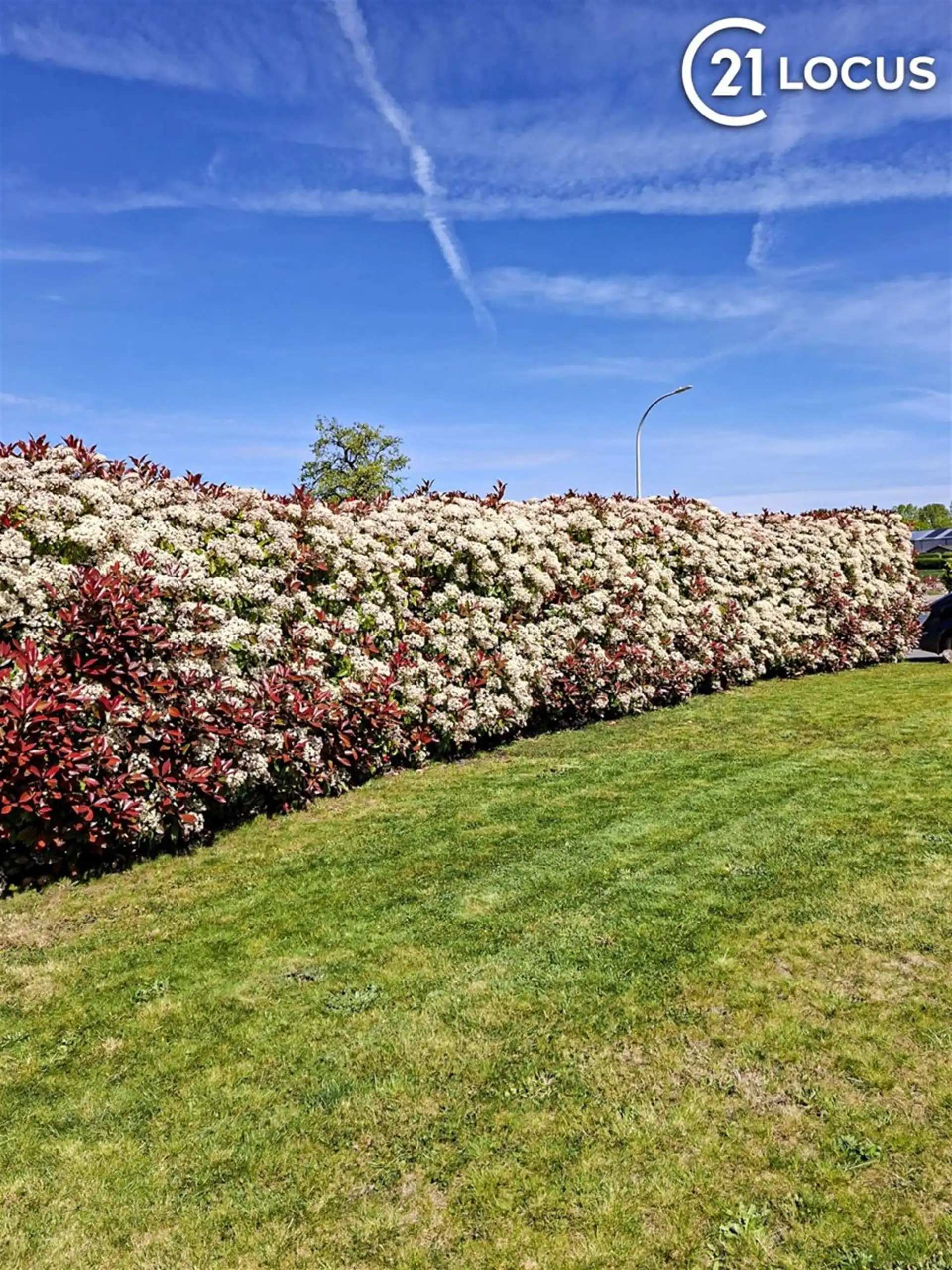 276 m² wooncomfort op 1.025 m² in hartje Melsele foto 6