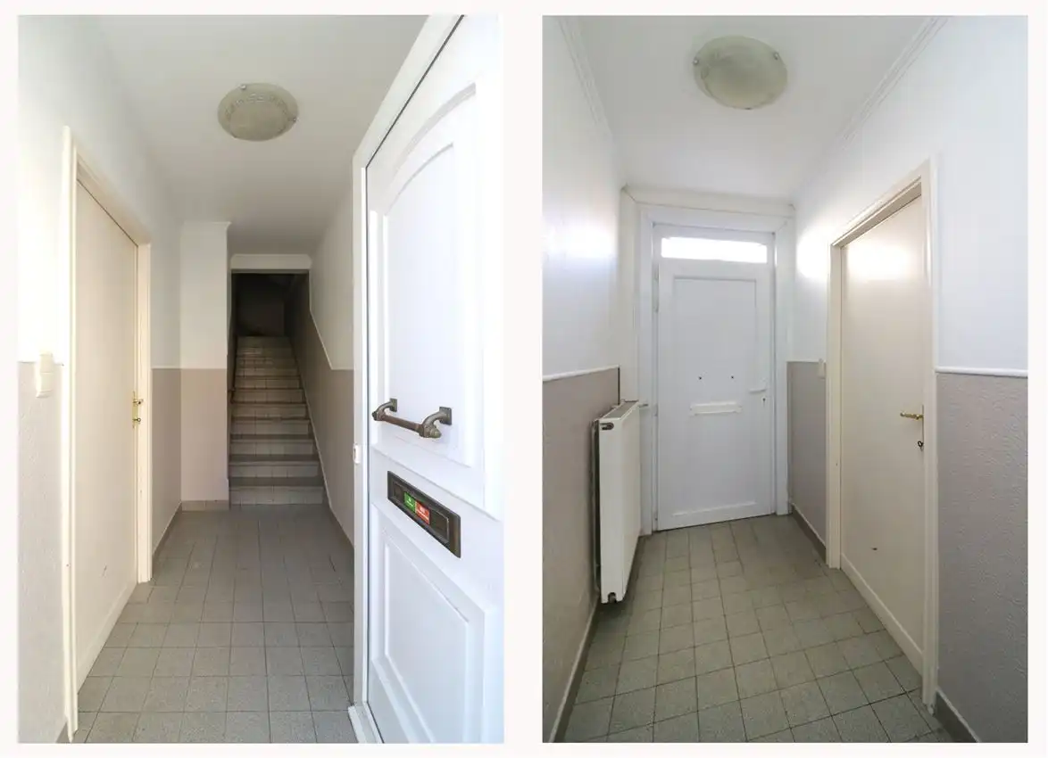 charmant, ruim, mogelijkheid beroep of kangoeroe foto 3