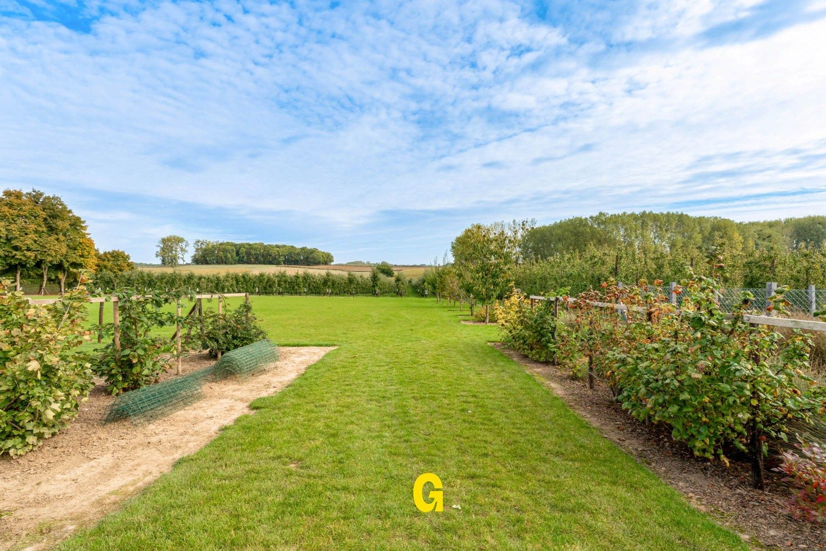 Te renoveren halfopen woning met tuin en ruime weide op 38a62ca, met prachtig verzicht op de achterliggende groene omgeving foto 26