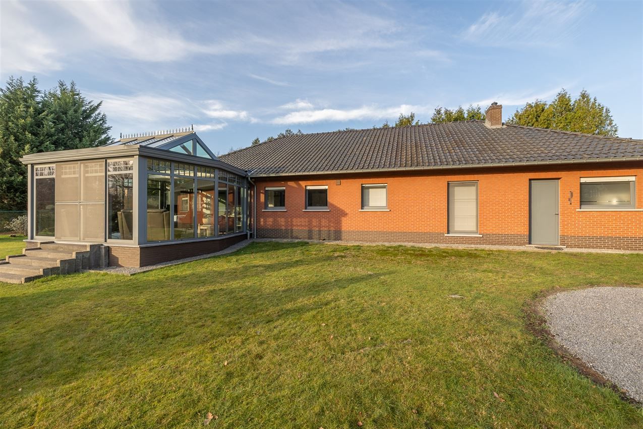 verborgen parel in het groen foto 6