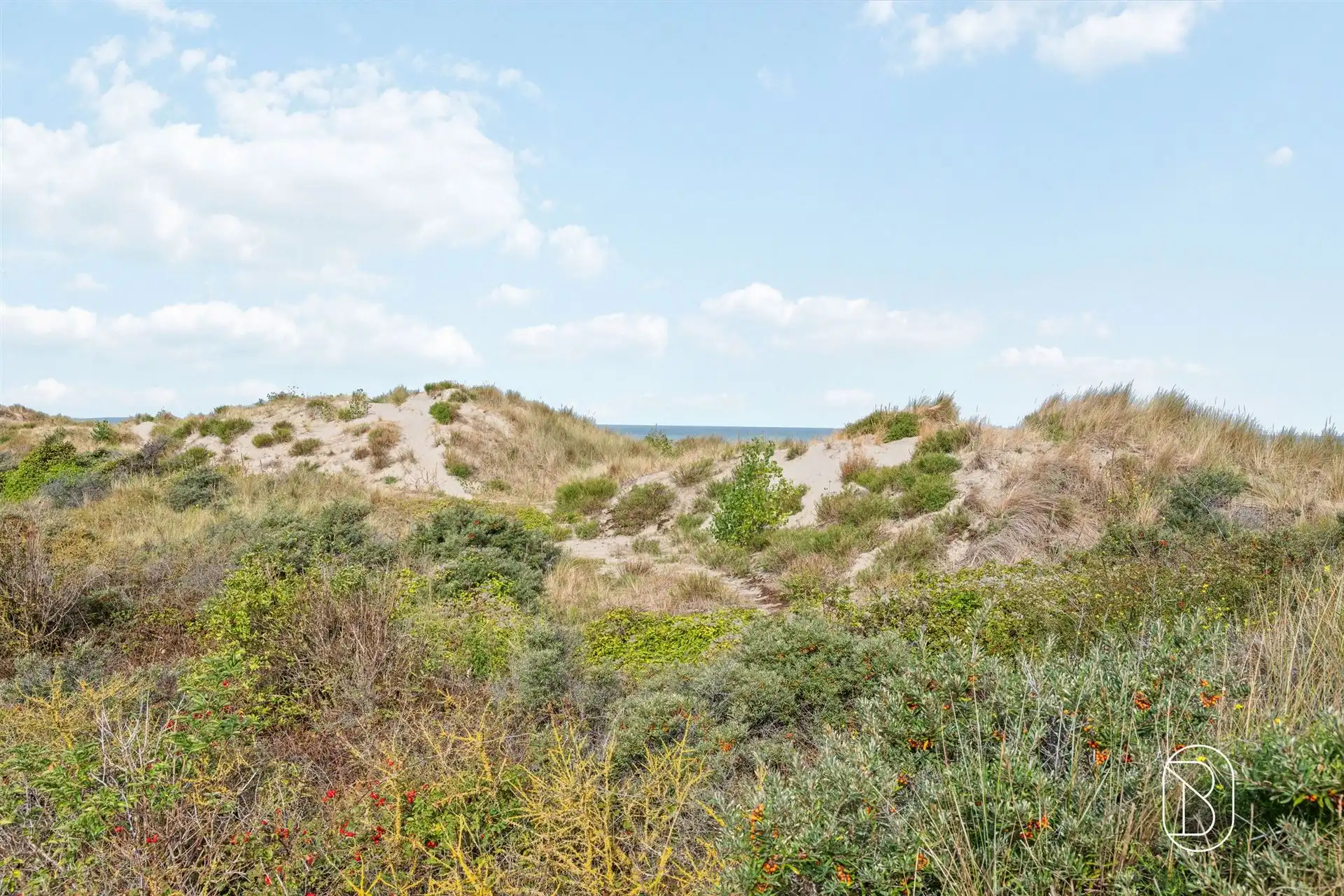 Degelijke instapklare villa op een TOPLIGGING foto 17