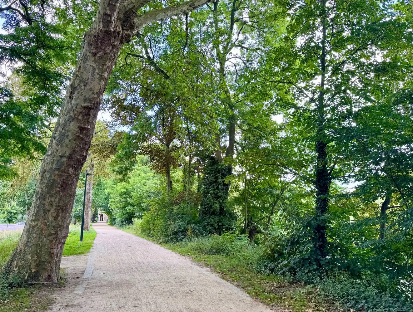 De Lesselier - Plan uw plaatsbezoek snel in! foto 17