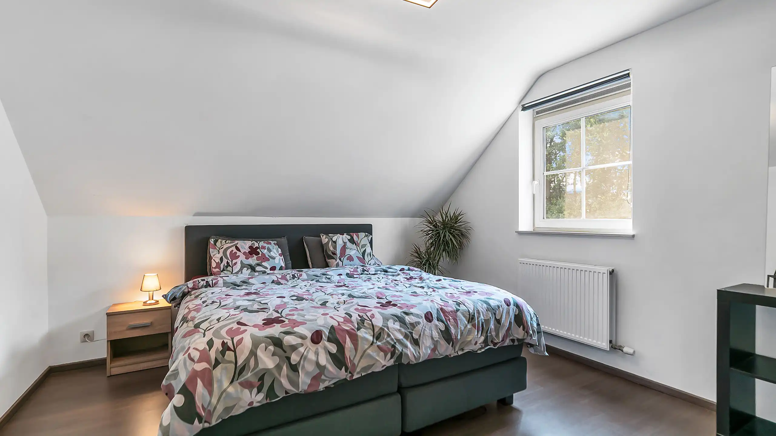 Huis te koop foto 10