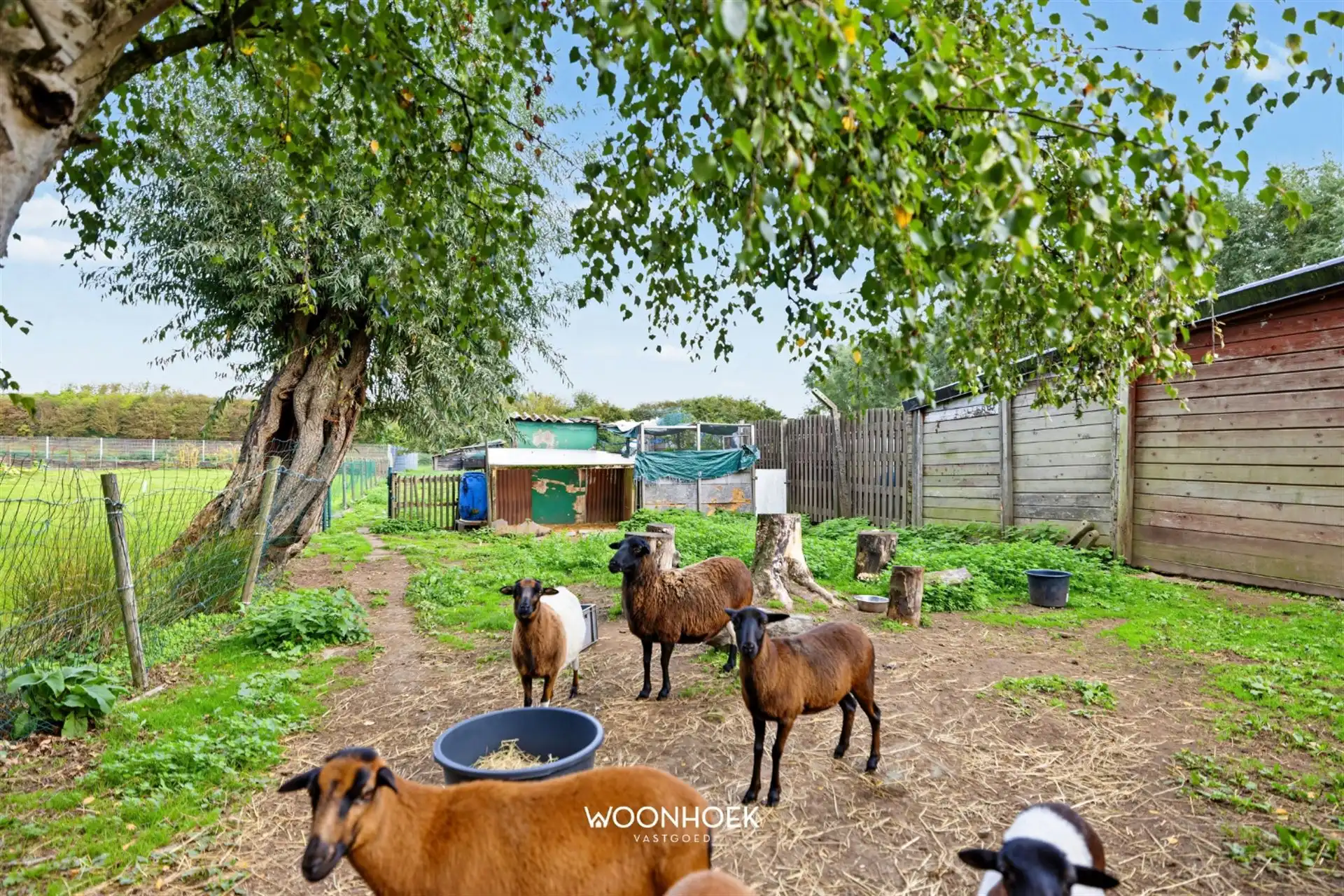 HO bebouwing met 4 slaapkamers op een perceel van 937 m² foto 25