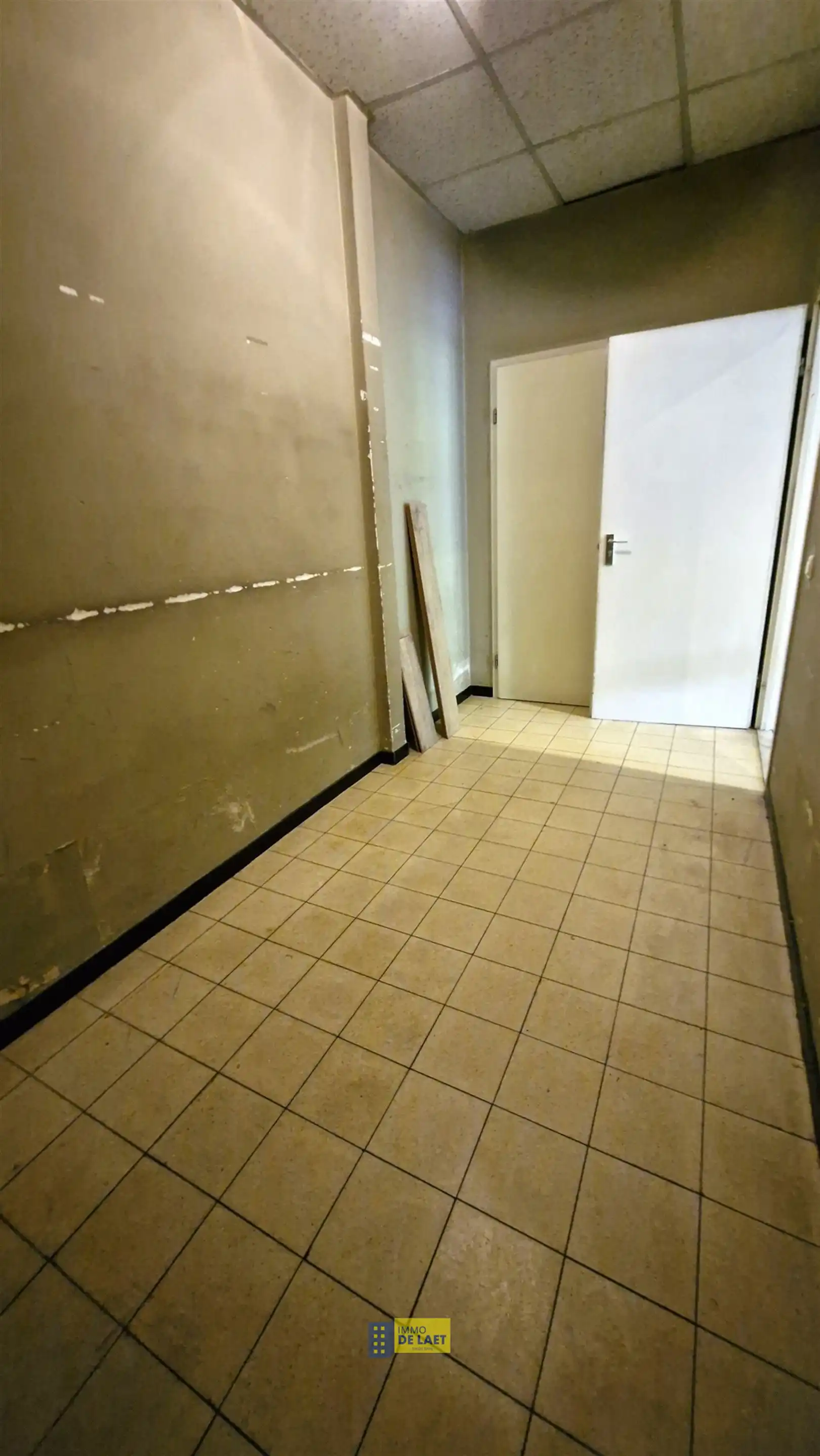 Studio foto 12