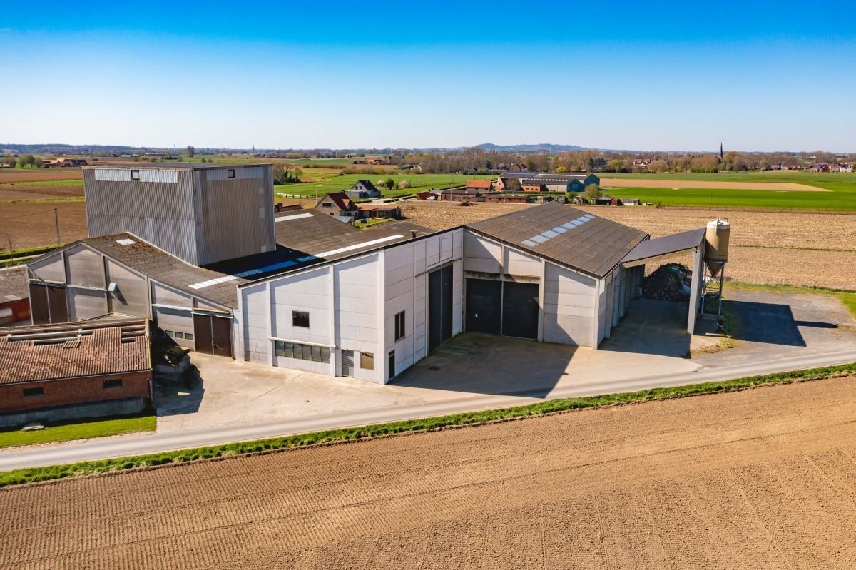 Hoeve met veevoederfabriek te koop te Poperinge (Watou) foto 9