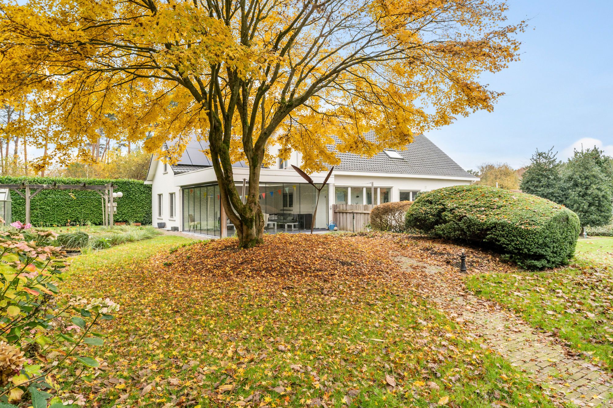 Ruime woning met kantoorruimte + extra bouwgrond op prachtige ligging te Eksel foto 2