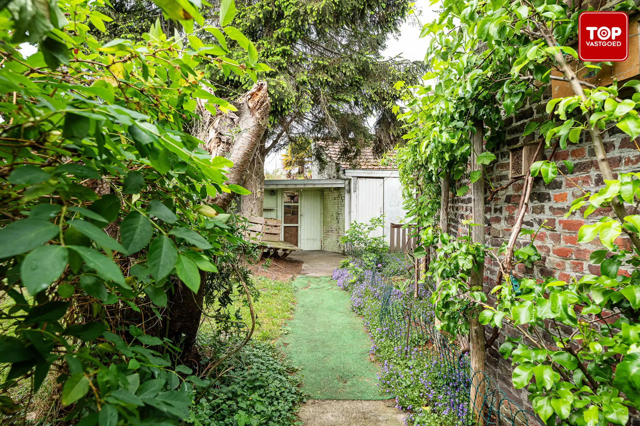 Woning met 3 slaapkamers en leuke tuin op toplocatie. foto 24