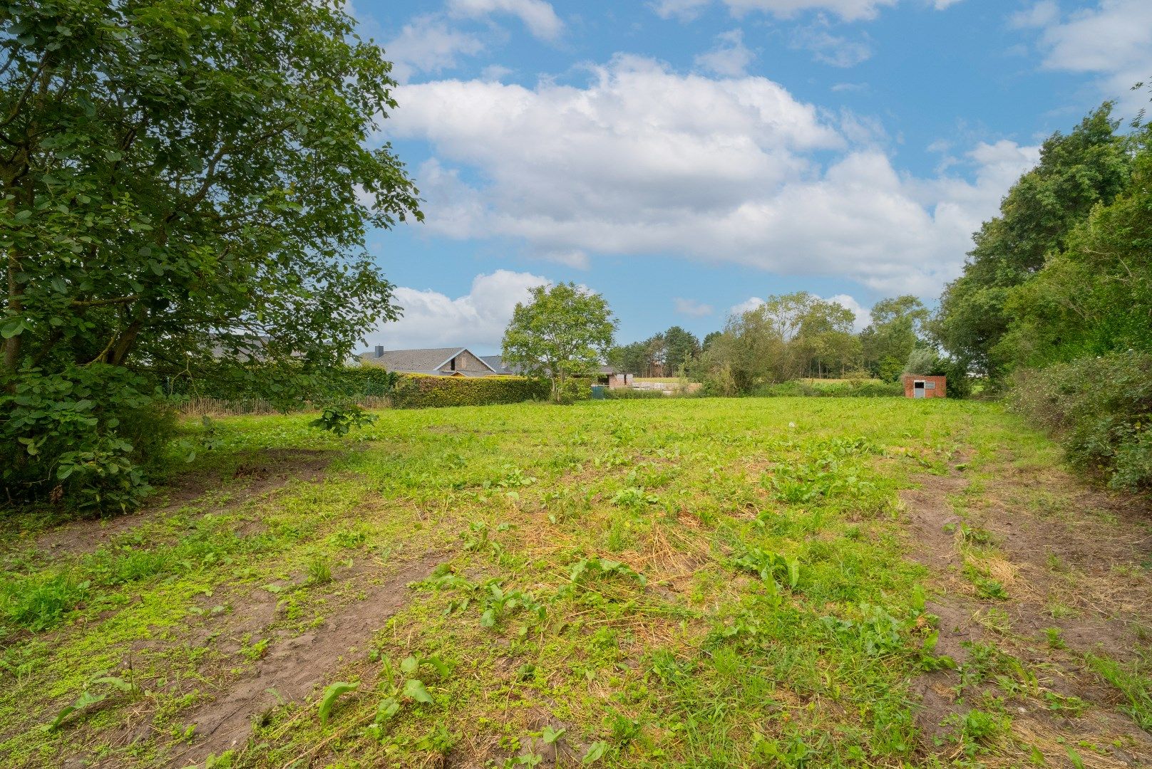 Ruime villa met magazijn op 5757 m² foto 18