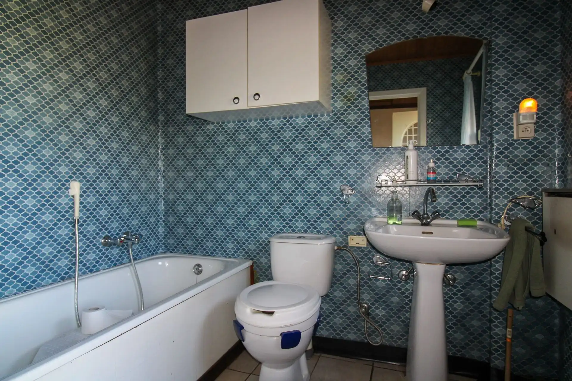 Te renoveren woning of interessante ontwikkelingsgrond in Opgrimbie! foto 11