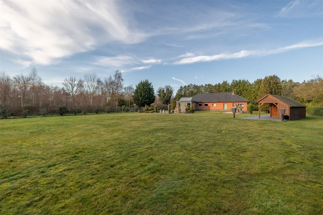 verborgen parel in het groen foto 57