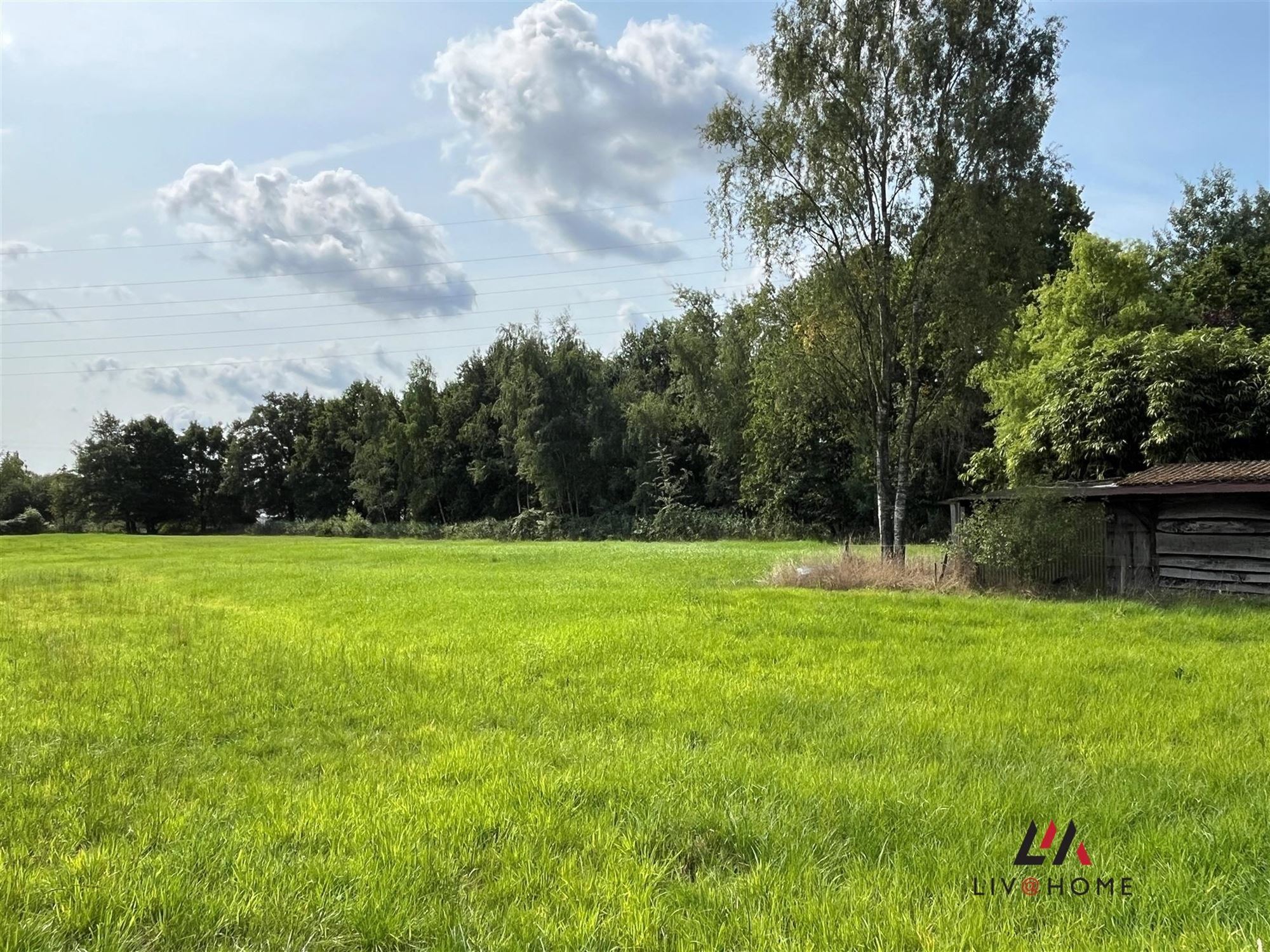 Boerderij met unieke ligging te Putte  foto 13