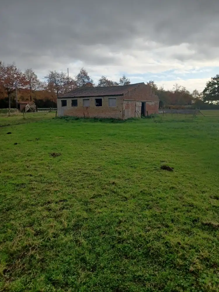 Perceel landbouwgrond te Aalterbaan Maldegem foto 3
