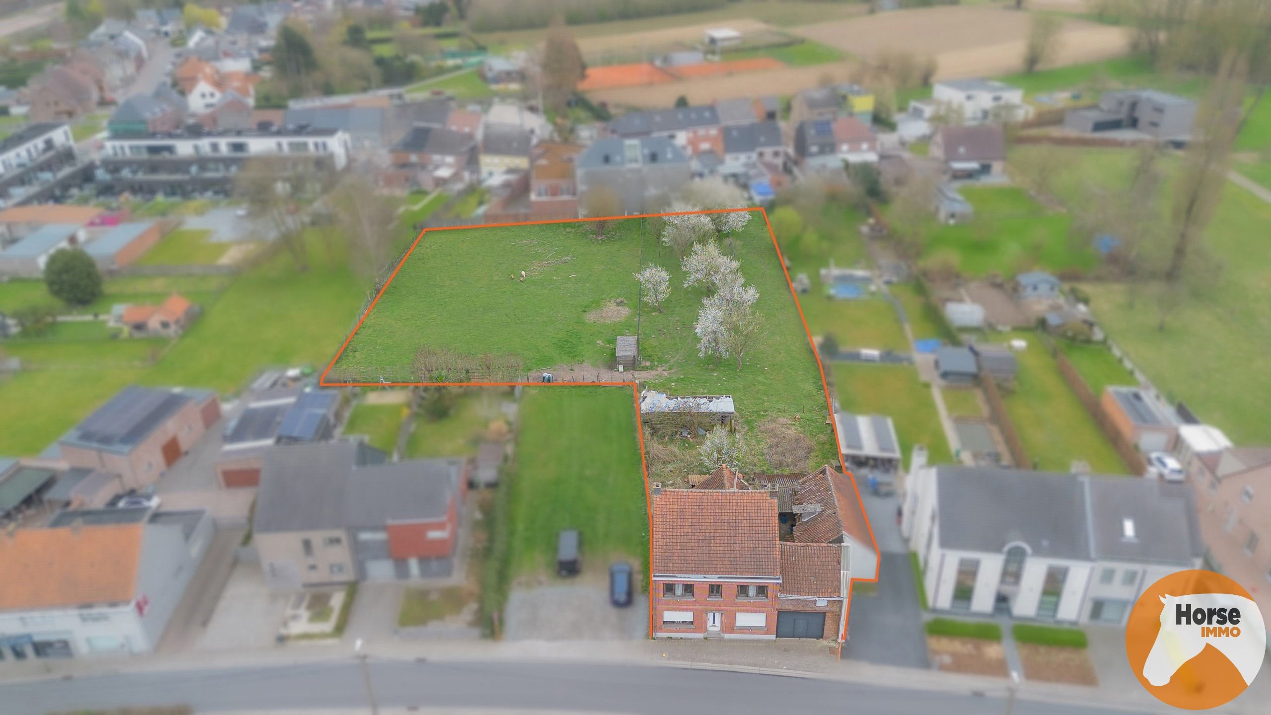 HAALTERT-  Renovatieproject met veel potentieel op 43a 84ca! foto 3