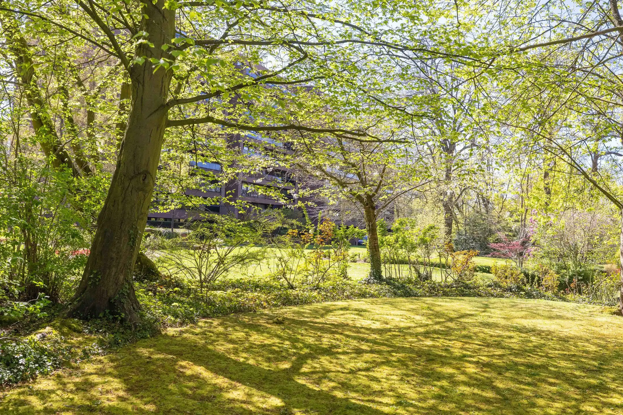 Ukkel Observatorium, wonen in het groen op hoogte foto 21