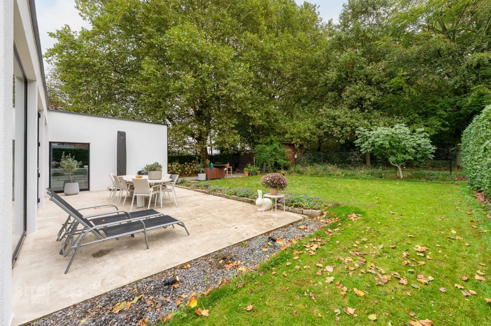Gelijkvloerse woning met uniek, eindeloos zicht op het bos in Kruibeke foto 11