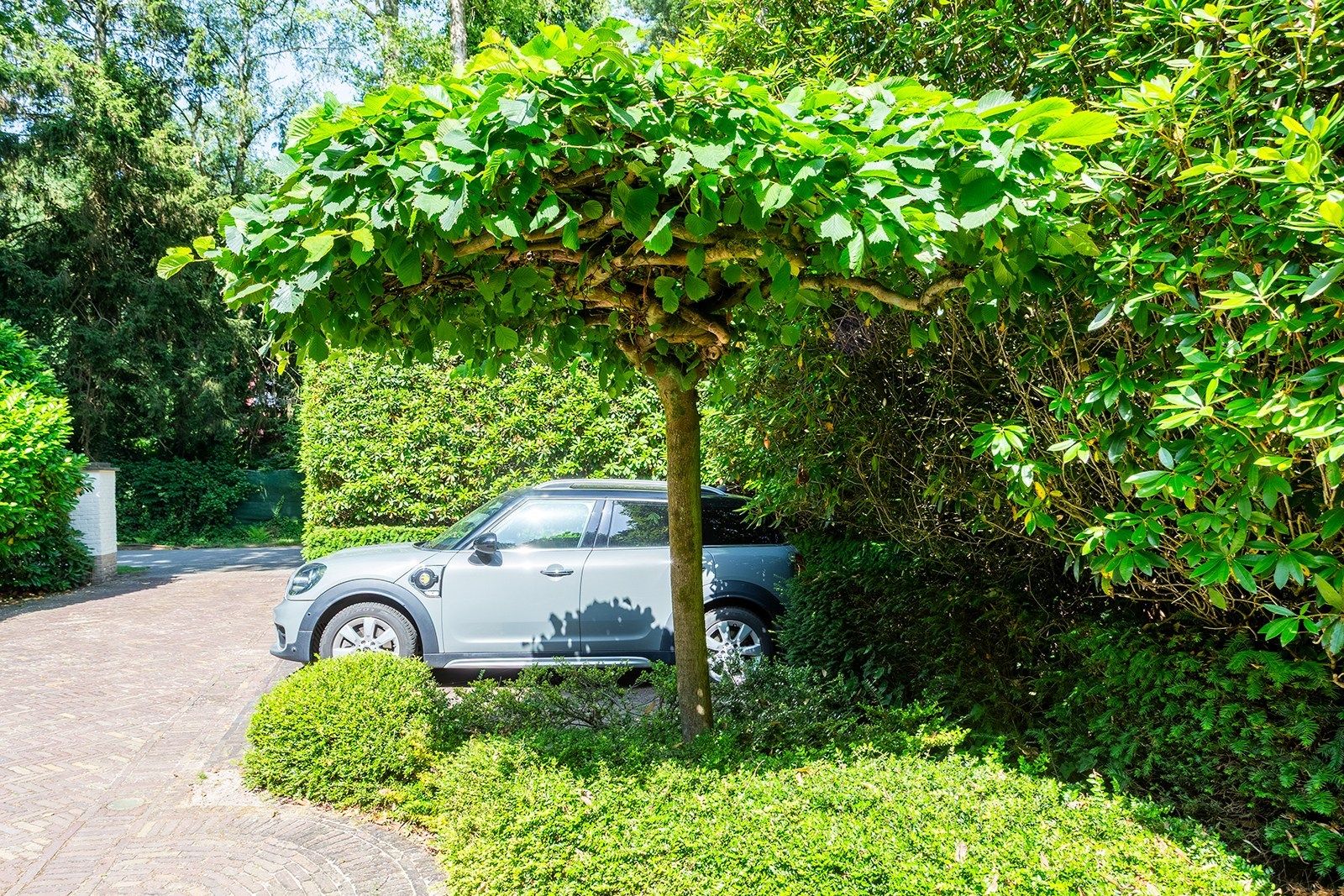 Charmante rietgedekte villa in bosrijke omgeving foto 6