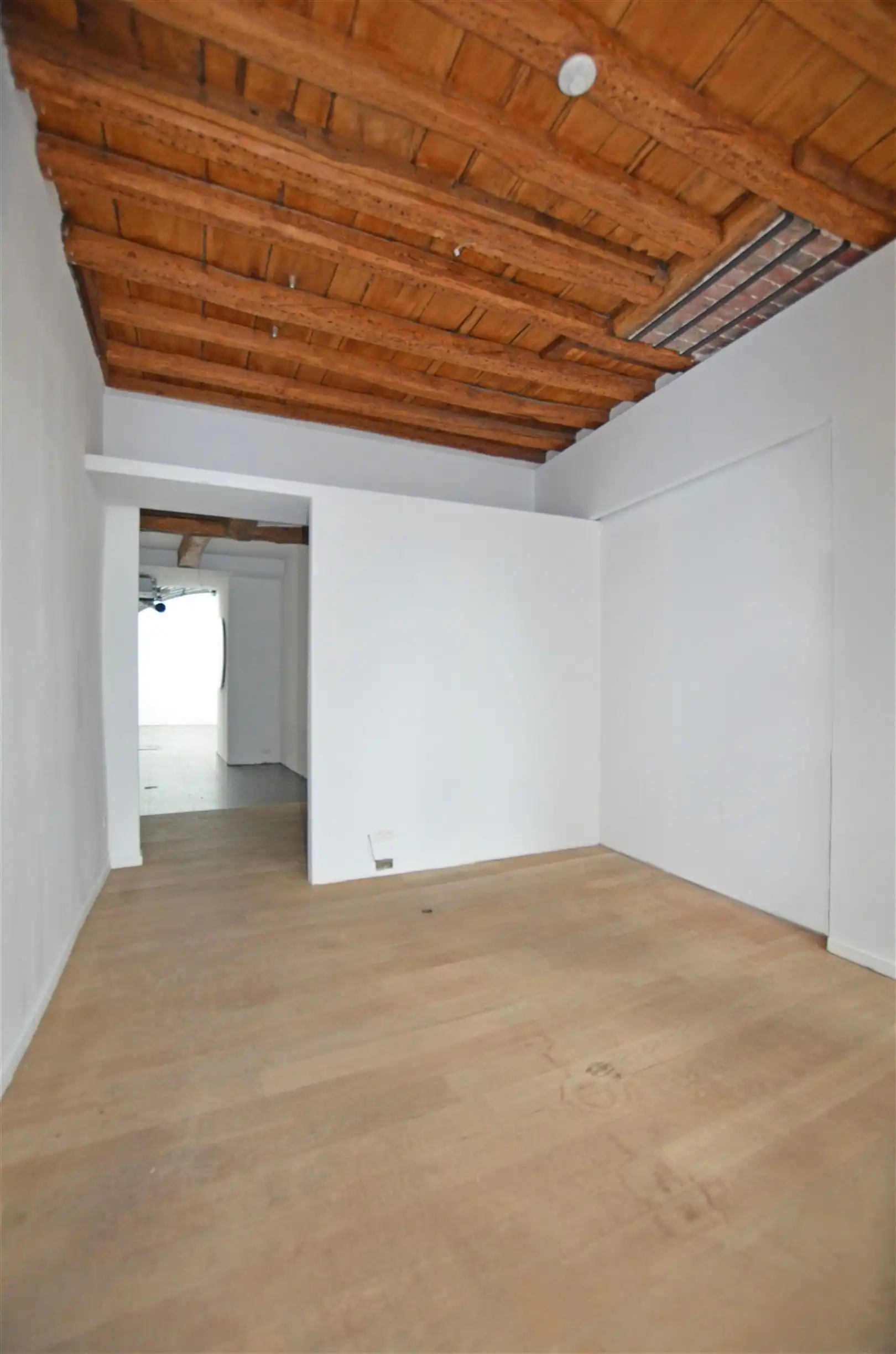 Uniek neoclassicistisch herenhuis met handelspand & duplexwoning foto 3