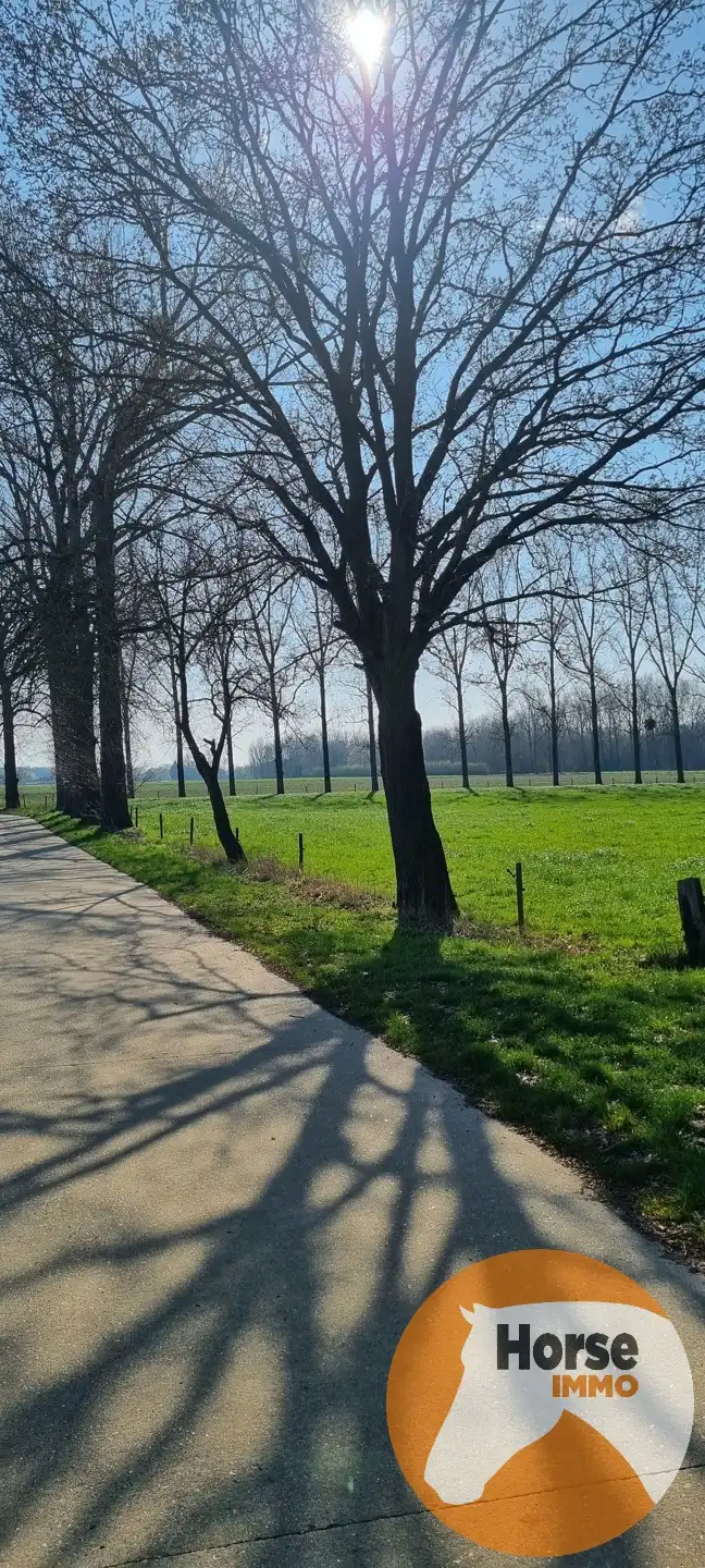 DIEPENBEEK - Unieke woning op +/- 52a foto 32