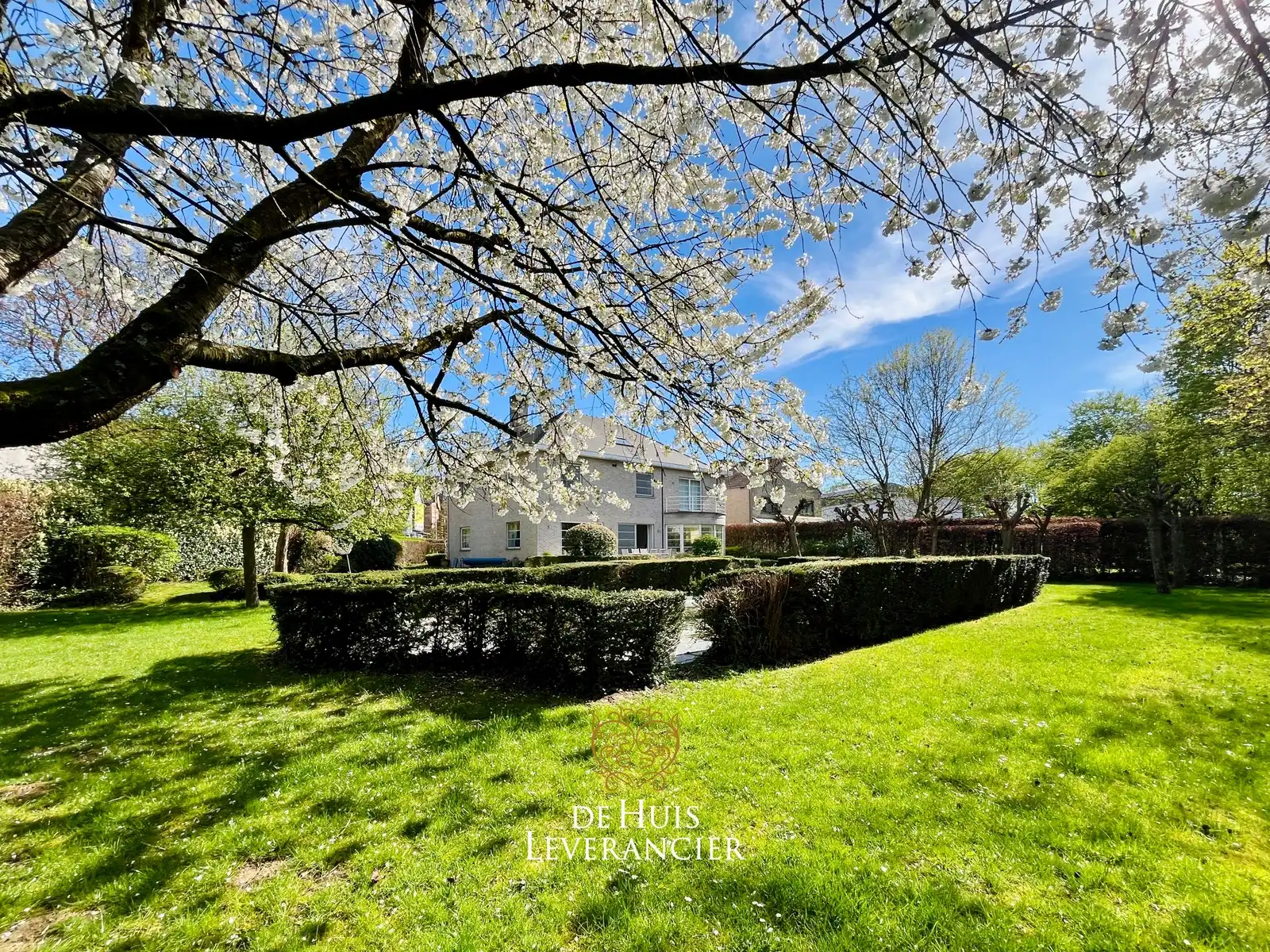 Exclusieve villa op uitzonderlijk perceel van 1 767 m², grenzend aan natuurgebied foto 9