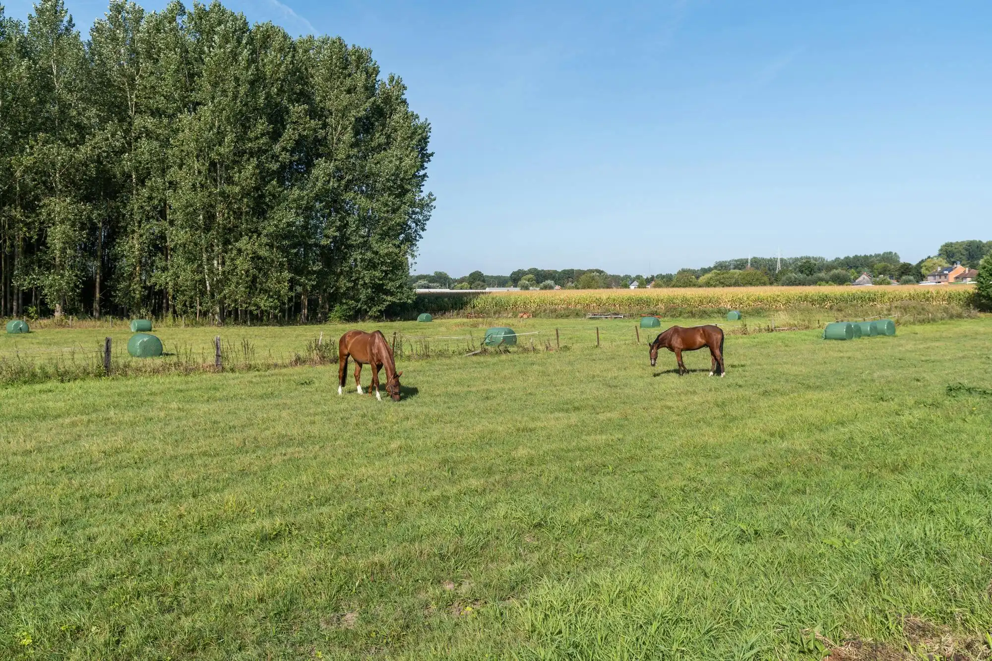 Ruime villa met tuin & 2 garages, ideaal als kangoeroewoning foto 48