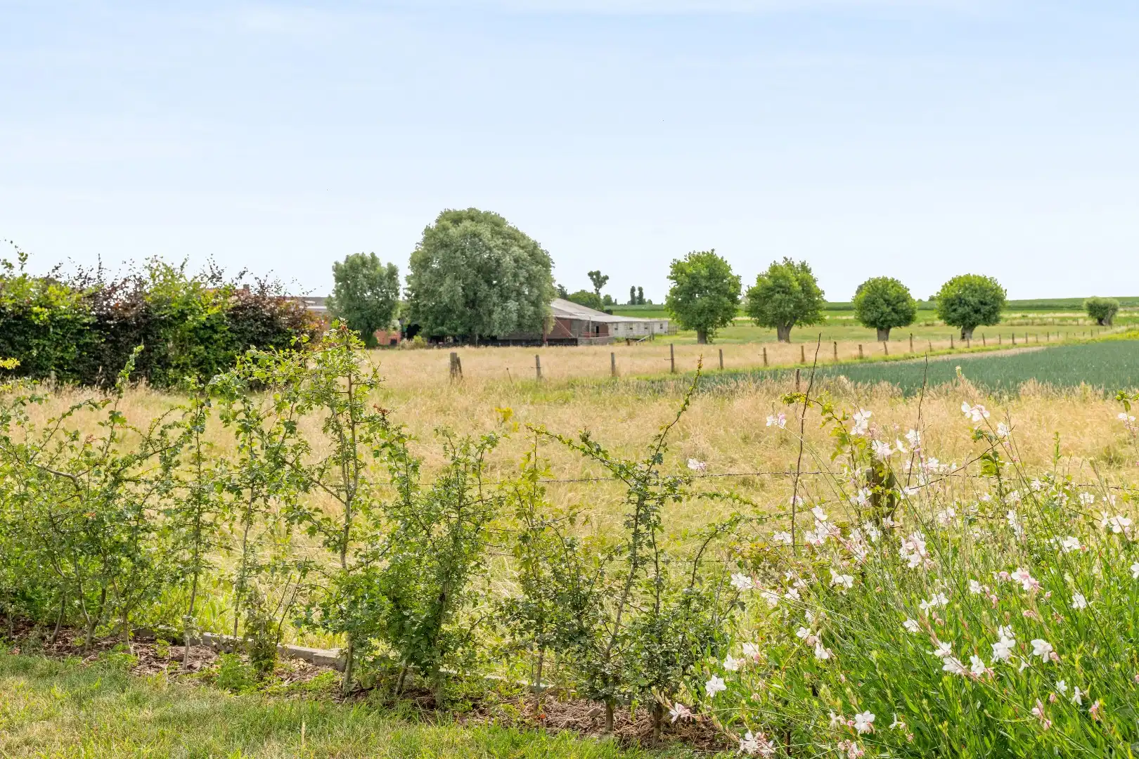 Recente en energiezuinige woning met 3 slaapkamers, ruime garage en tuin. foto 24