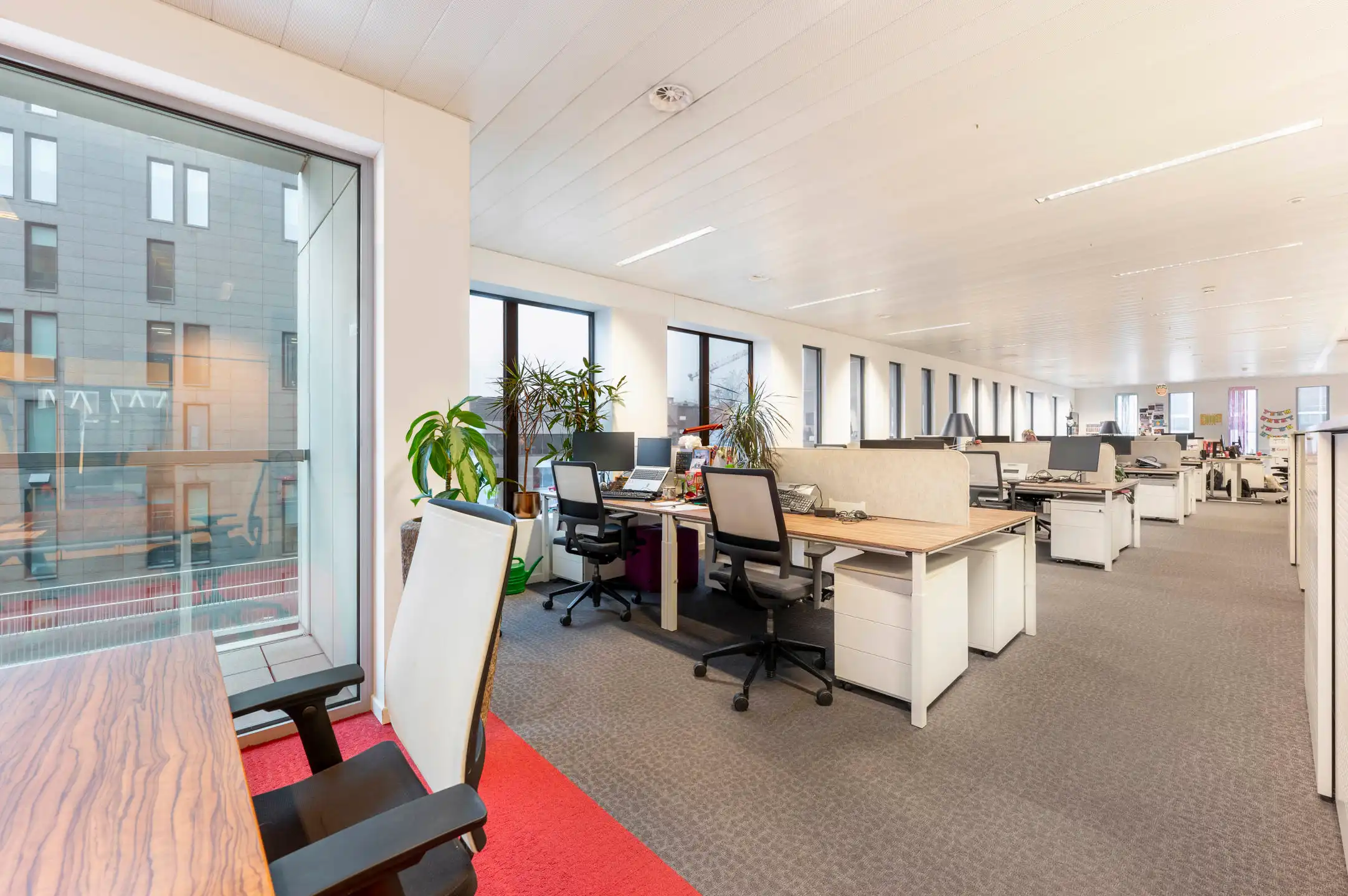 ANTWERP NORTH OFFICES - Kantoren te huur foto 11
