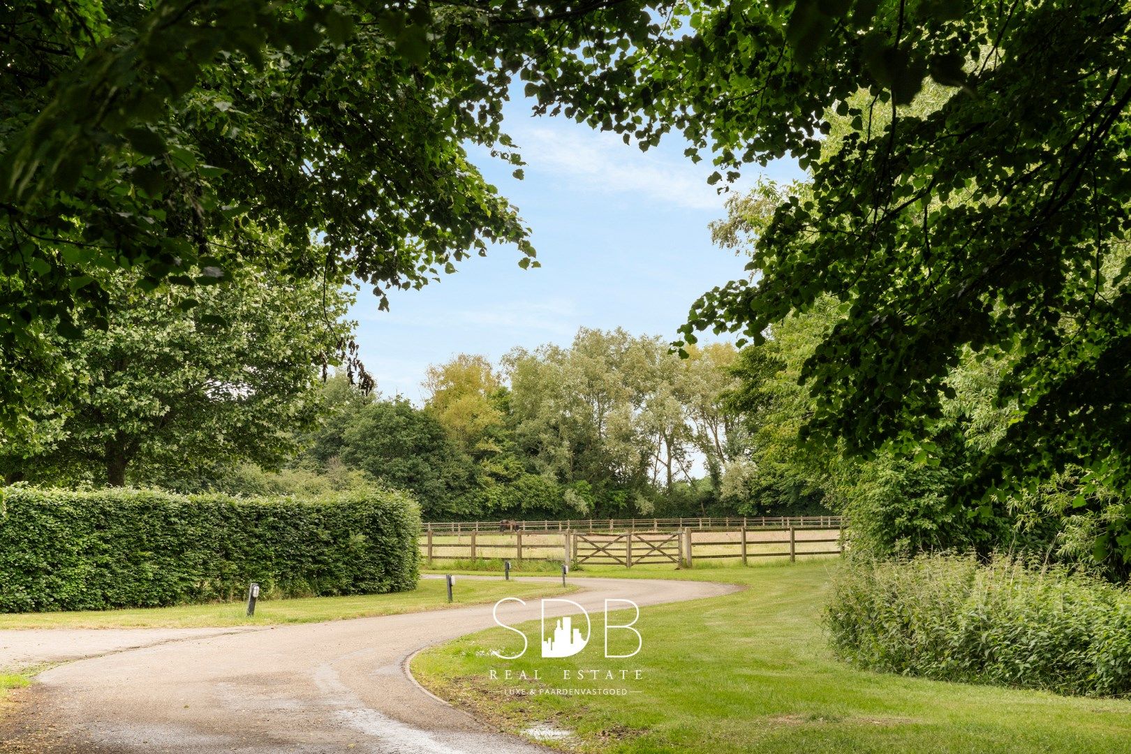 Prachtige villa met hippische accommodatie en graslanden op +/- 23 ha foto 31
