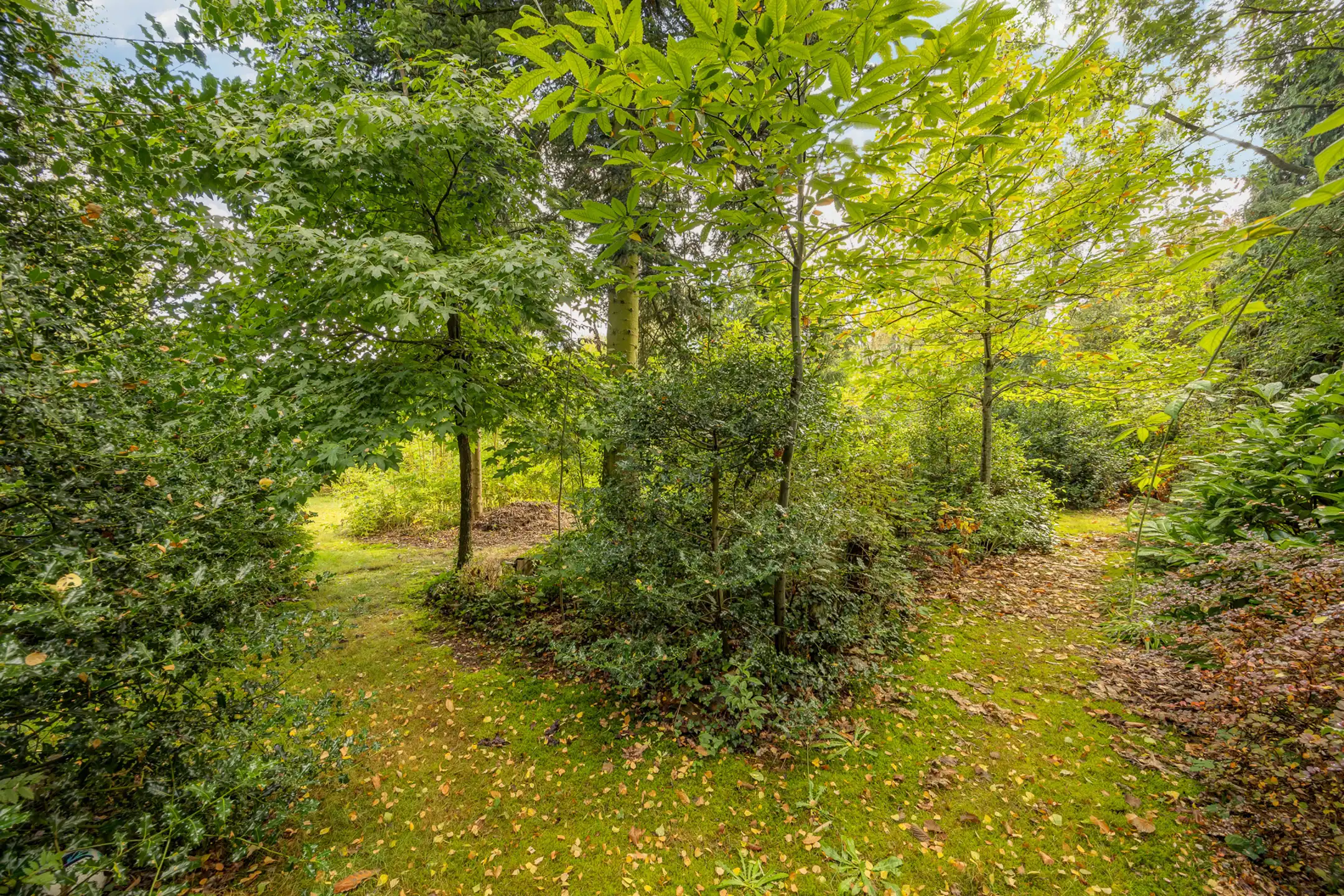 Karaktervolle woning op uitzonderlijk perceel  foto 20