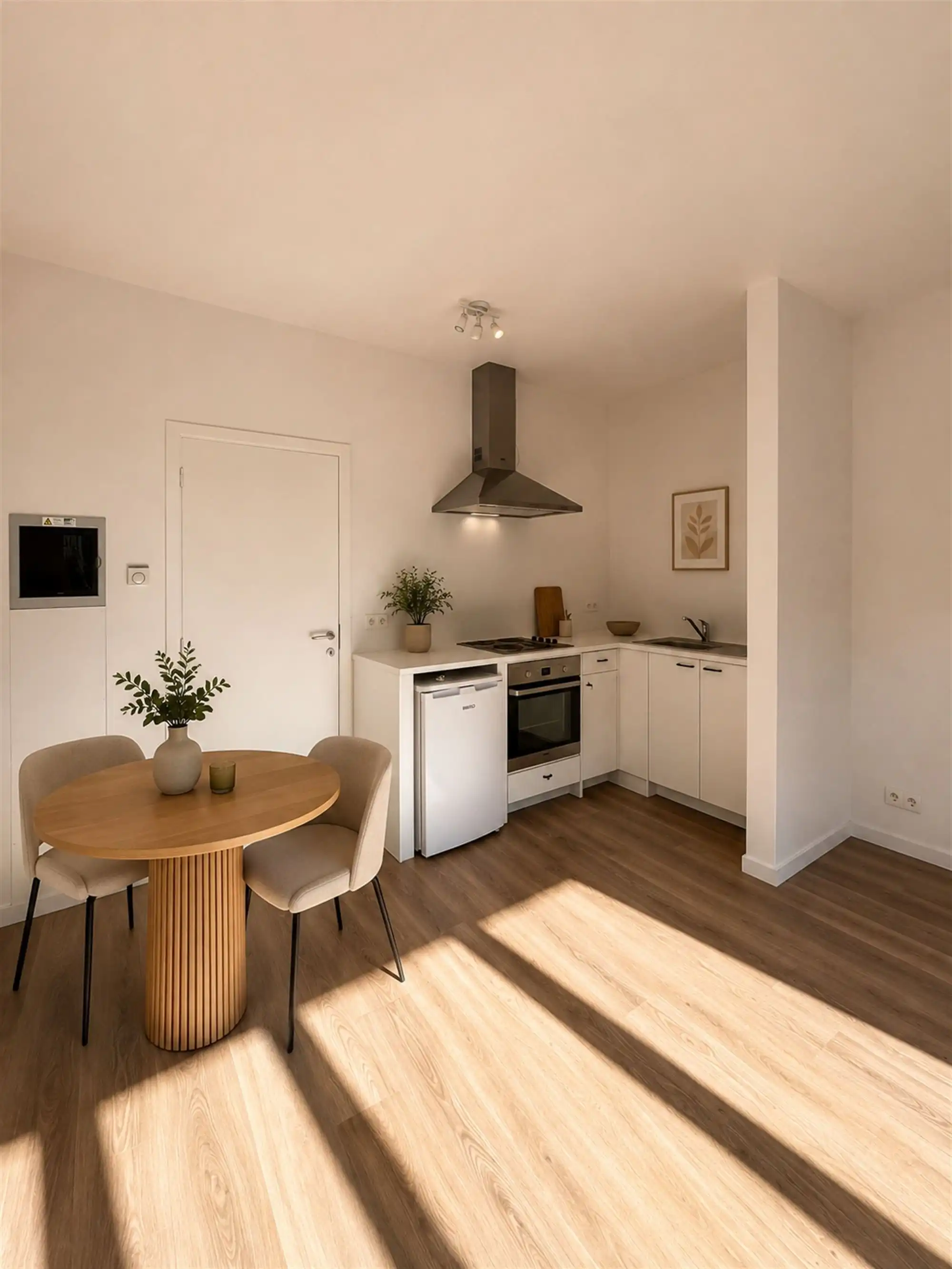 Instapklare gerenoveerde studio te Antwerpen foto 3