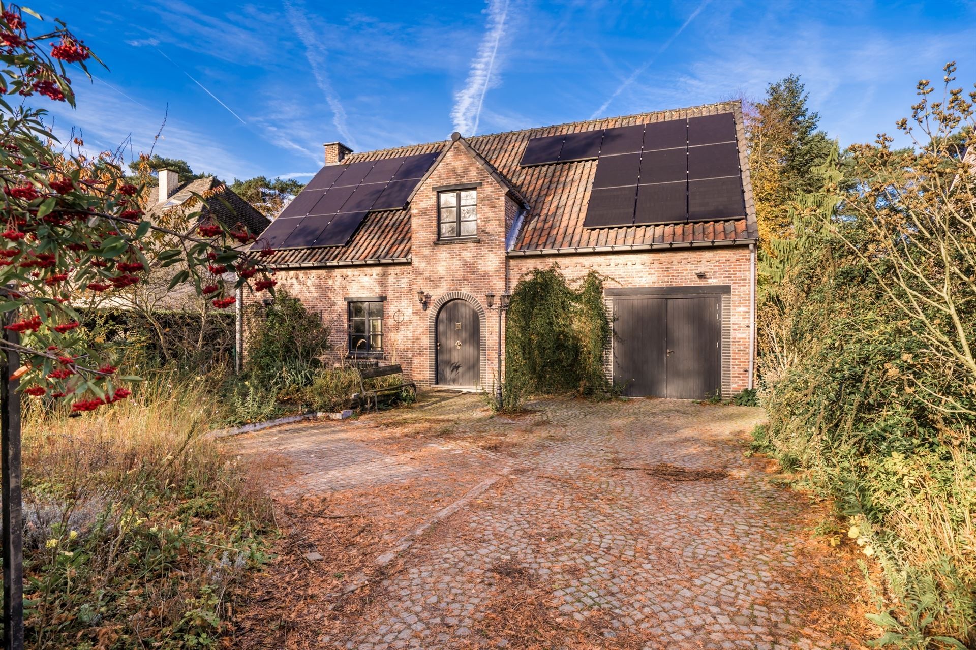 Te renoveren woning met grote tuin en eigen bos in rustig Bonheiden.  foto 26