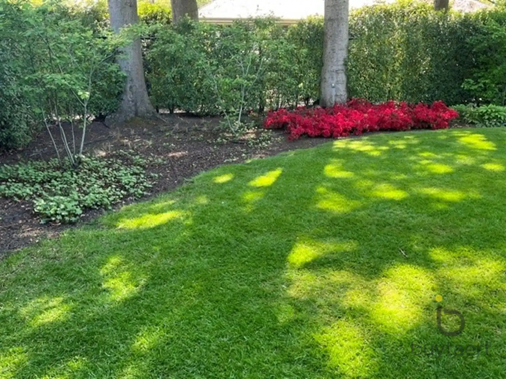 Villa met praktijk of  kangoeroewoning en Zuid - West tuin. foto 48