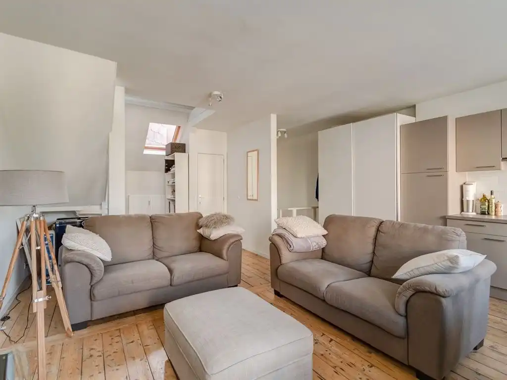 Hip duplex-appartement aan Albertpark foto {{pictureIndex}}