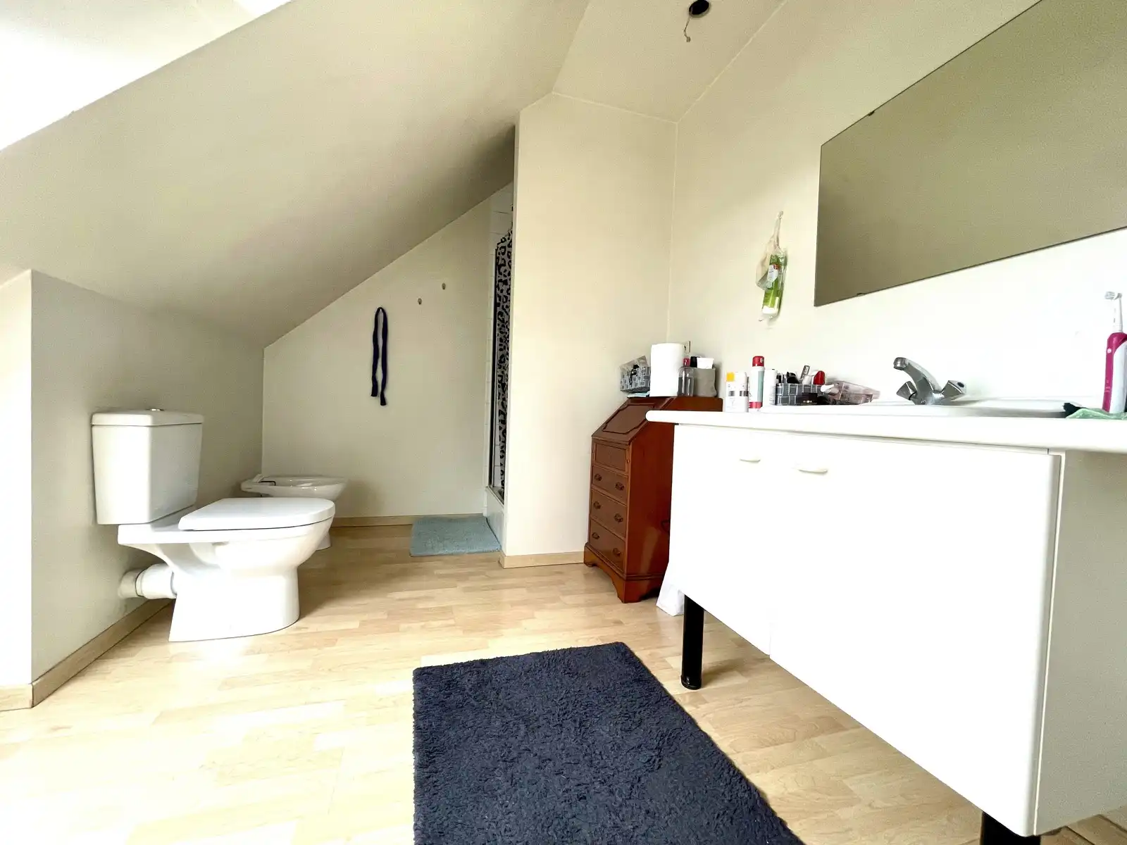 Ruim duplex appartement met handel voor agrarische functie. foto 20