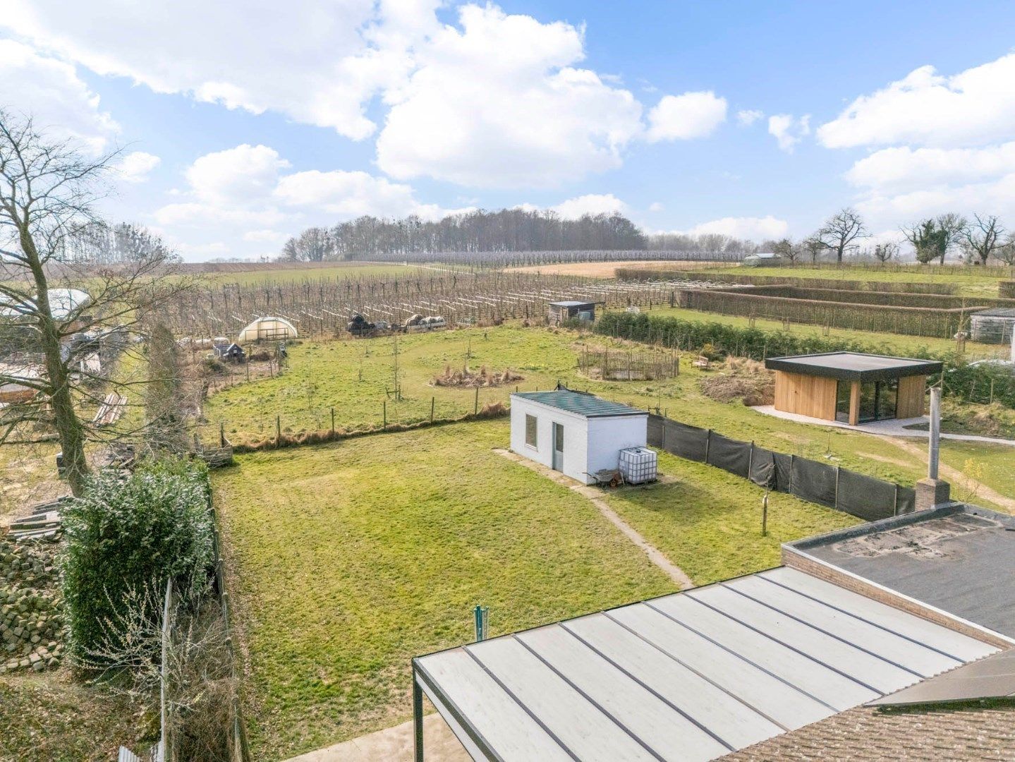 Gerenoveerde vrijstaande bungalow-woning met zuid-west gerichte tuin, op 9a 33ca met zicht op achterliggend groen.  foto 29