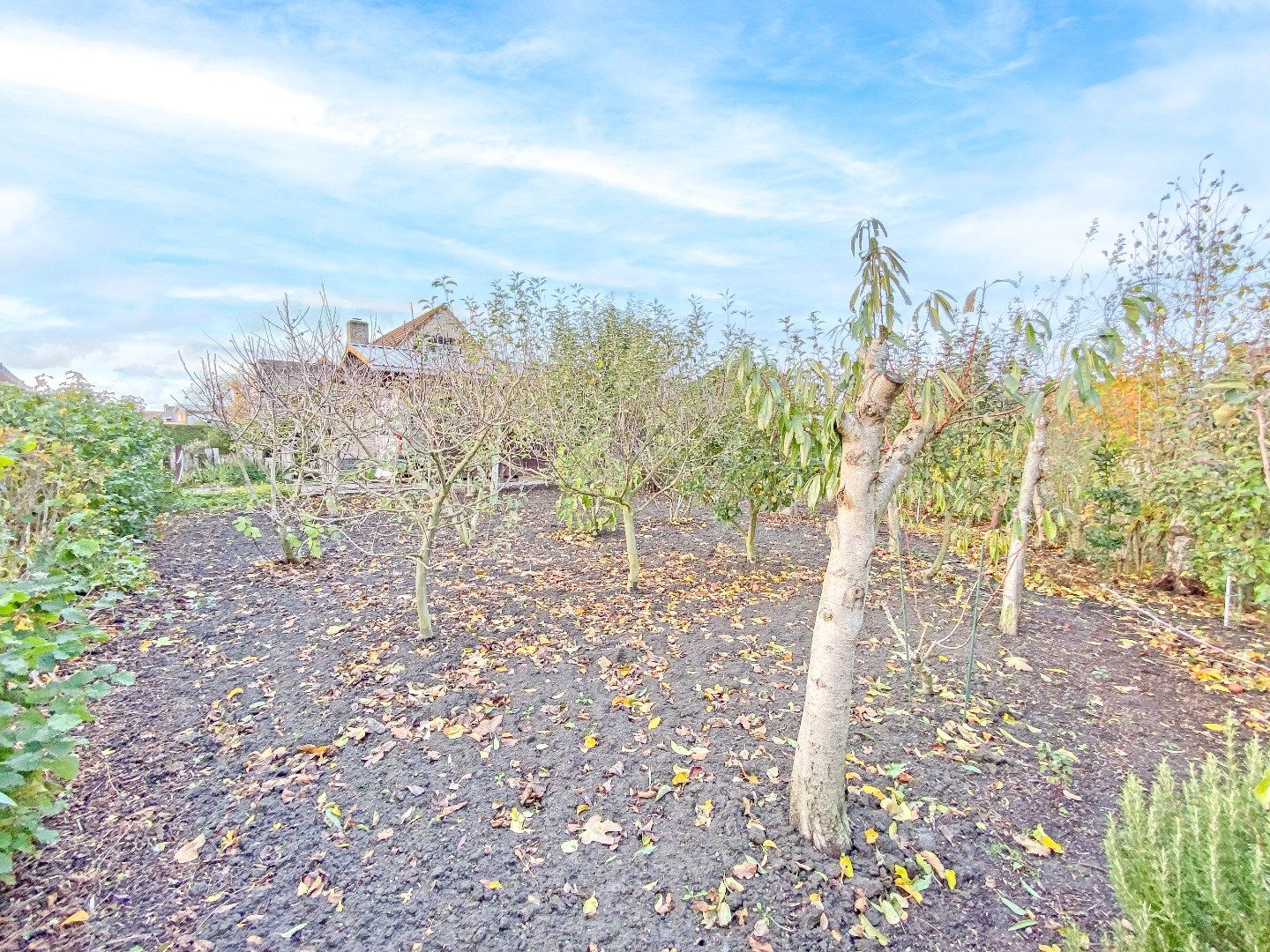 KIJKDAG ZATERDAG 06/12 VAN 10U TOT 12U! foto 19